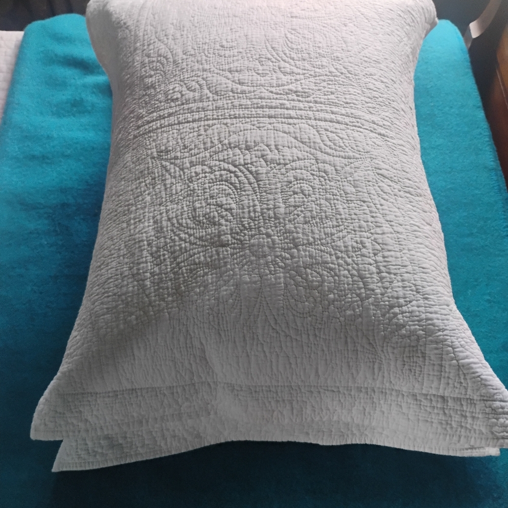 Matelasse Pillow Shams in White (Shams Only)